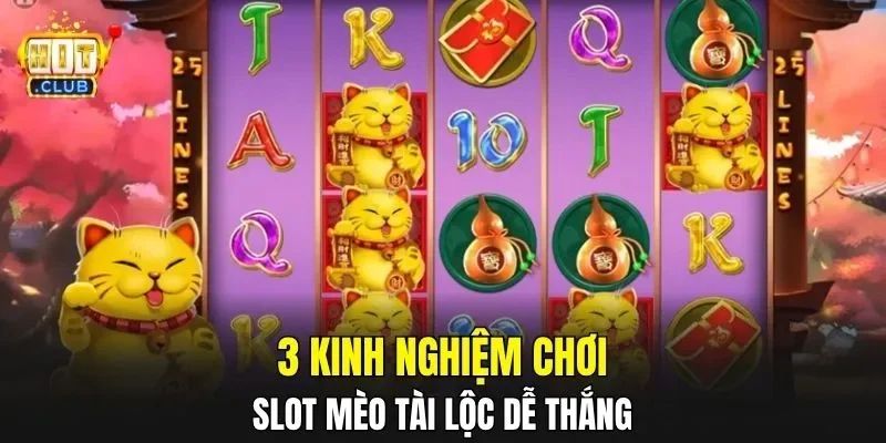 3 kinh nghiệm chơi slot mèo tài lộc dễ thắng