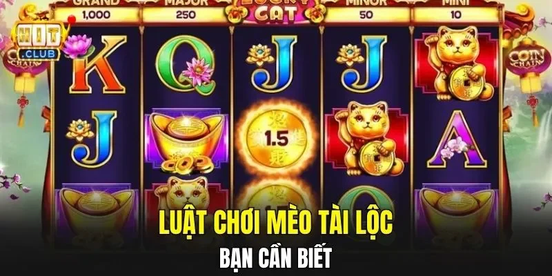 Luật chơi mèo tài lộc bạn cần biết