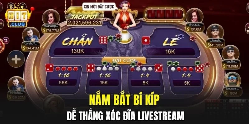 Nắm bắt bí kíp dễ thắng Xóc Đĩa livestream