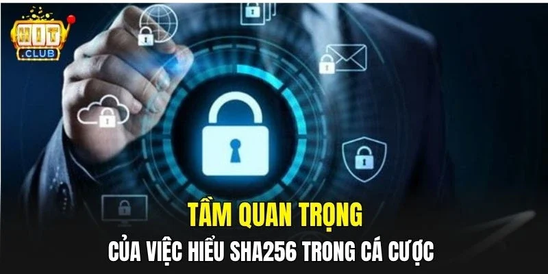 Tầm quan trọng của việc hiểu SHA-256 trong cá cược 