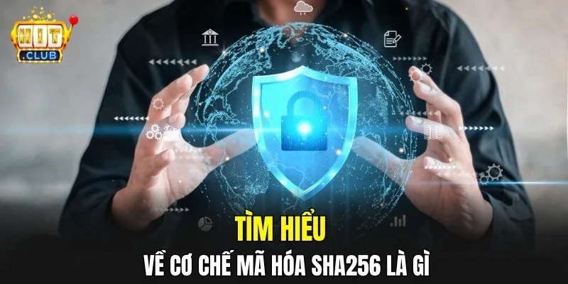 Tìm hiểu về cơ chế mã hóa SHA-256 là gì? 